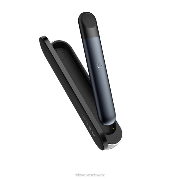 RELX Vape Geschmack - Silber grau RELX Infinity Ladekoffer LXJP59
